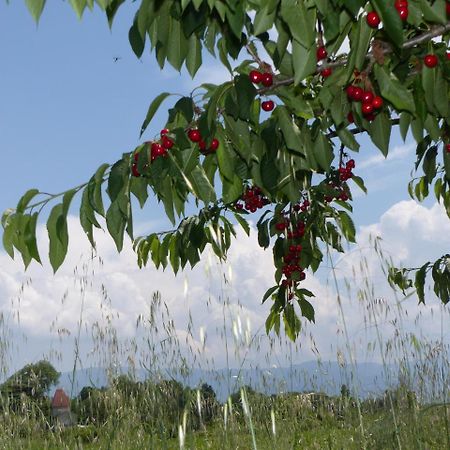 La Ferme De Chaleyre Bed & Breakfast Romans-sur-Isère Екстериор снимка